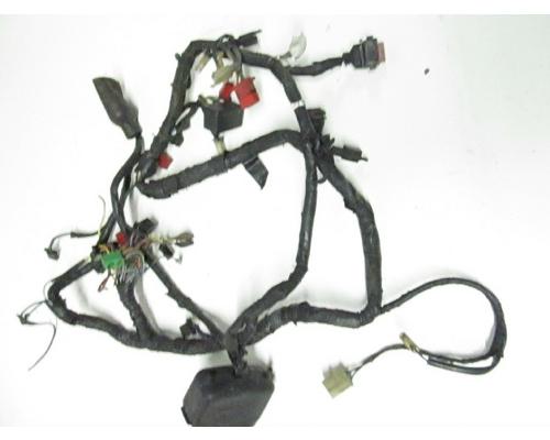 Honda CBR600 Wire Harness
