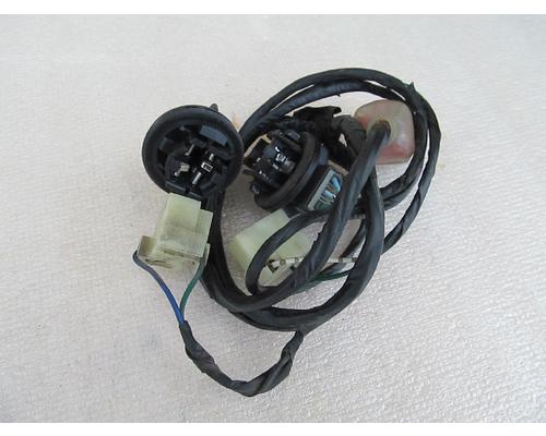Honda NSS250 Wire Harness