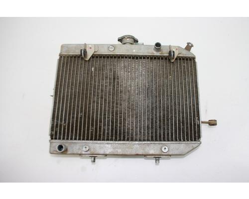 Honda Rincon 650 Radiator