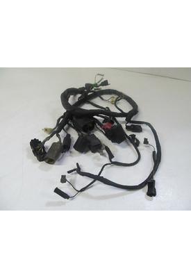 Honda VT750DC Wire Harness