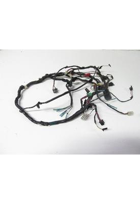 Kawasaki EX500-D Wire Harness