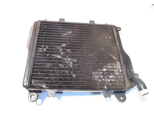 Kawasaki ZG1000-A Radiator