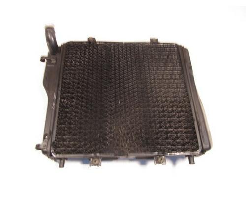 Kawasaki ZG1000-A Radiator