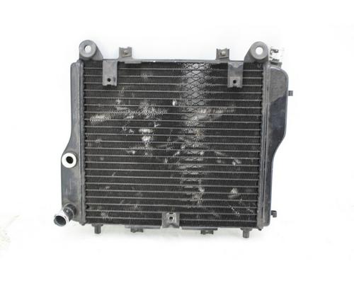 Kawasaki ZG1000-A Radiator