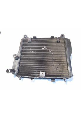 Kawasaki ZG1000-A Temperature Sensor