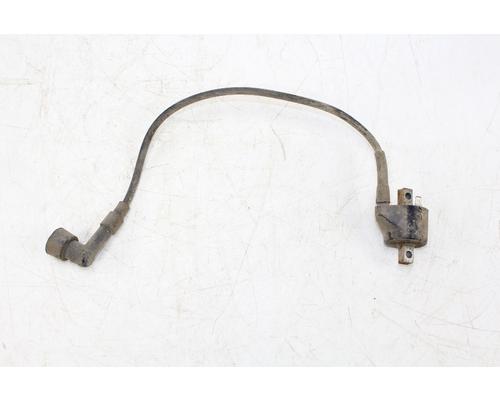 POLARIS 250 TRAIL BOSS  2X4 Ignition Coil