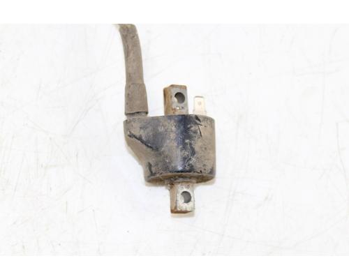 POLARIS 250 TRAIL BOSS  2X4 Ignition Coil