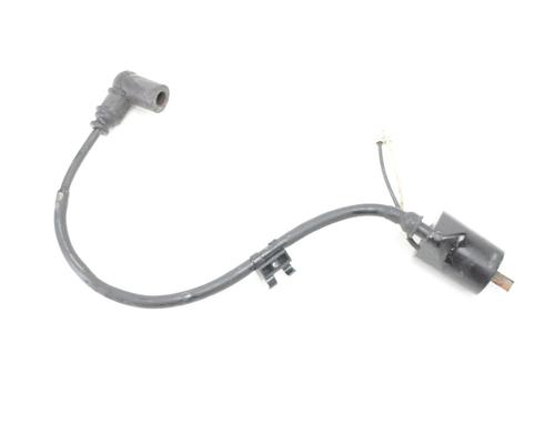 POLARIS 800 RMK Assault Ignition Coil