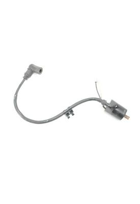 POLARIS 800 RMK Assault Ignition Coil