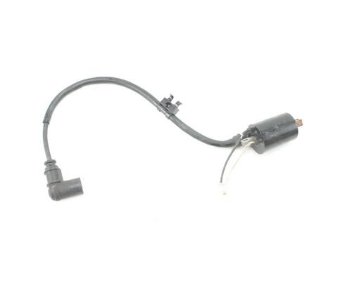 POLARIS 800 RMK Assault Ignition Coil