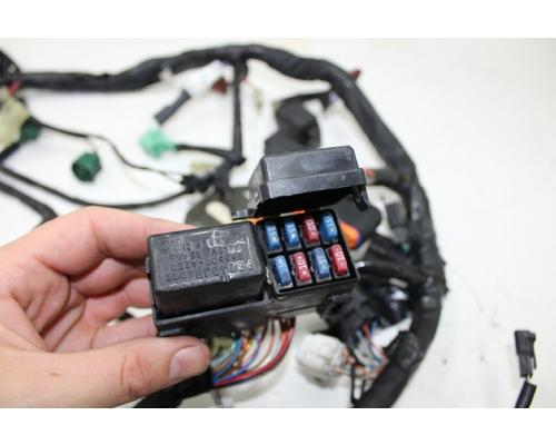 Suzuki SV1000S Wire Harness