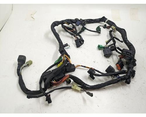 Suzuki SV1000S Wire Harness