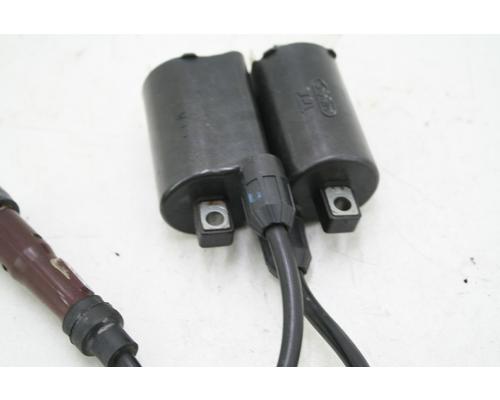 Triumph AMERICA IGNITION COIL