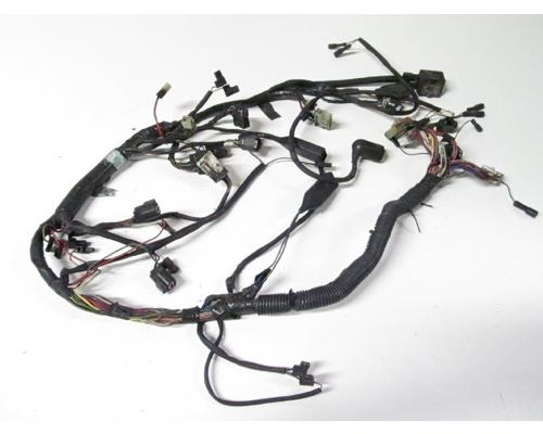 Triumph THUNDERBIRD SPORT Wire Harness