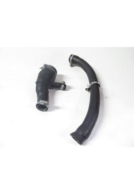 Triumph TT600 Radiator Hose