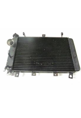 Triumph TT600 Radiator