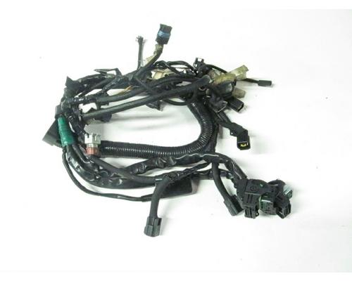 Triumph TT600 Wire Harness