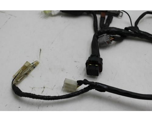 Yamaha FZ1 Wire Harness