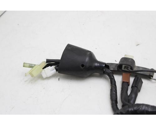 Yamaha FZ1 Wire Harness