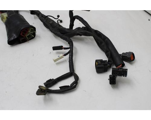 Yamaha FZ1 Wire Harness