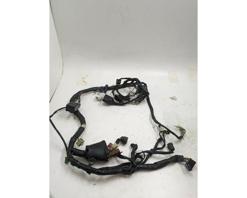 Yamaha FZS1000 Wire Harness