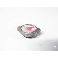 Honda CBR600RR Radiator Cap thumbnail 1
