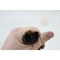 Honda CBR600 Headlight Switch thumbnail 8