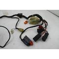 Honda NSS250 Wire Harness thumbnail 6