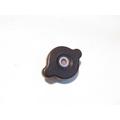 Kawasaki ZG1000-A Radiator Cap thumbnail 1