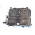 Kawasaki ZG1000-A Radiator thumbnail 1