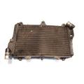 Kawasaki ZX900 Radiator thumbnail 1