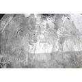 POLARIS 400 SPORTSMAN 4X4 Clutch Cover thumbnail 3