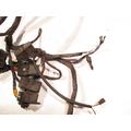 Triumph Sprint ST Wire Harness thumbnail 2