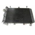 Triumph TT600 Radiator thumbnail 1
