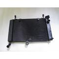 Yamaha YZF-600R Radiator thumbnail 1